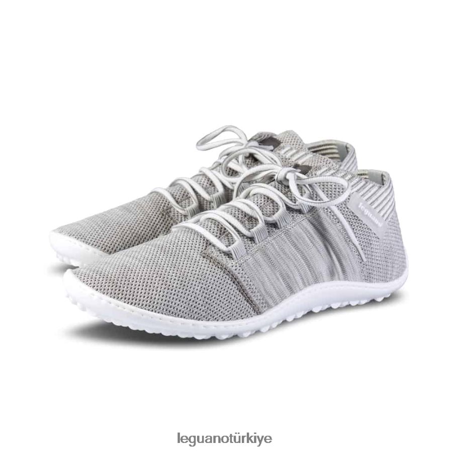 ayakkabı erkekler Leguano gümüşü yendi NP820H11